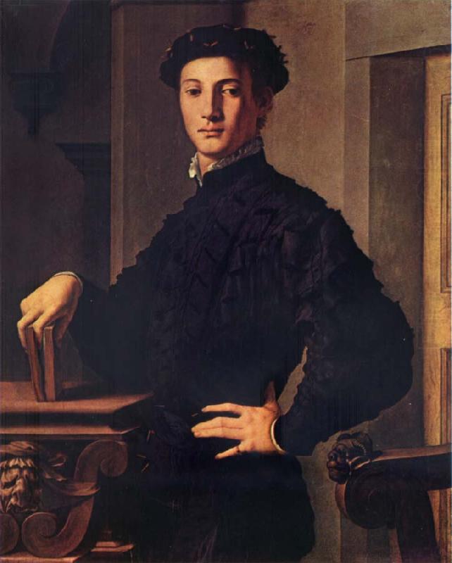 BRONZINO, Agnolo Portrait of a young man china oil painting image